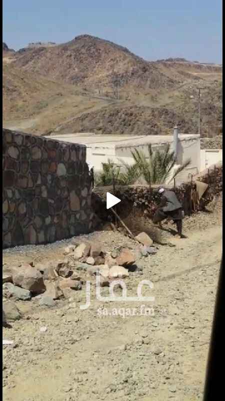 1290674 مزرعة في الفقرة (صوير) صط شرعي الكتروني بيت 2 بير كهربا نخيل ليمون برشومي سور حجر
