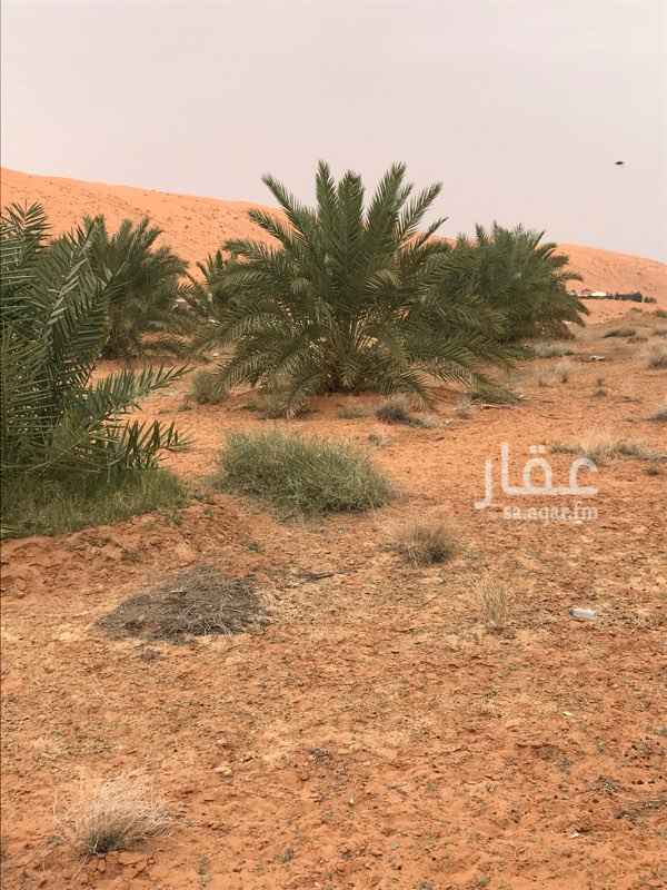 1261560 مزرعة بصك تقع بنفود الخراره موقع استثماري جميع الخدمات متوفره