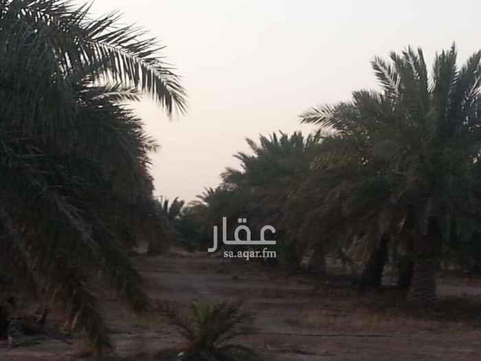 1568604 للبيع مزرعة قائمة في مخطط ملهم الزراعي الجنوبي بها حوالي ٥٠٠ نخلة منتجة و اكثر من ٤ ابار ارتوازية عميقة على عمق ٣٥٠ /٤٠٠ متر و بها صك تمليك و غرفة عمال و مستودع مزرعة و خزان و عداد كهرب..