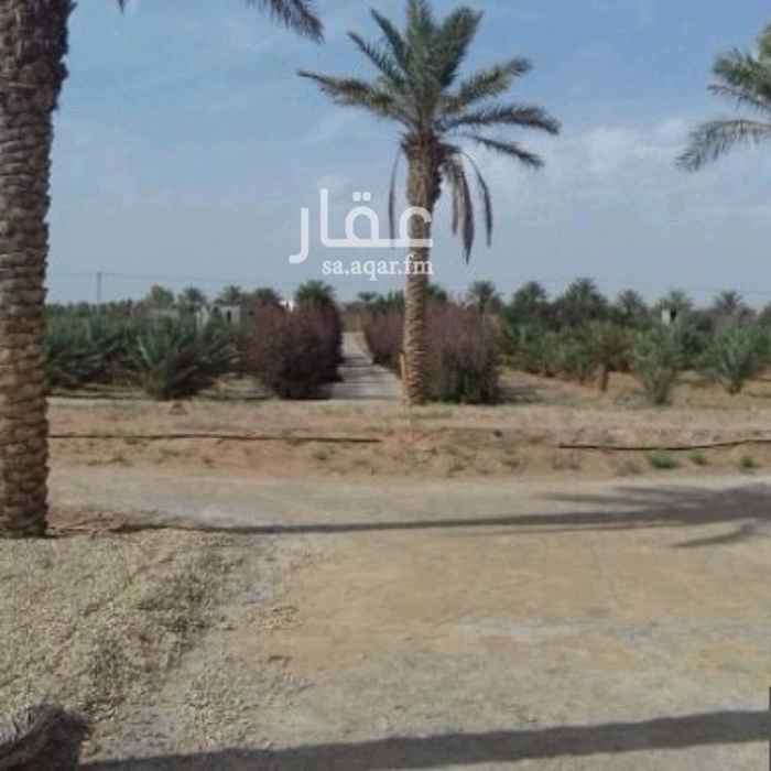 1267078 مزرعة للبيع الرياض
واتساب 0554471071
إتصال 0535229828
الرجاء مراعات وقت الإتصال