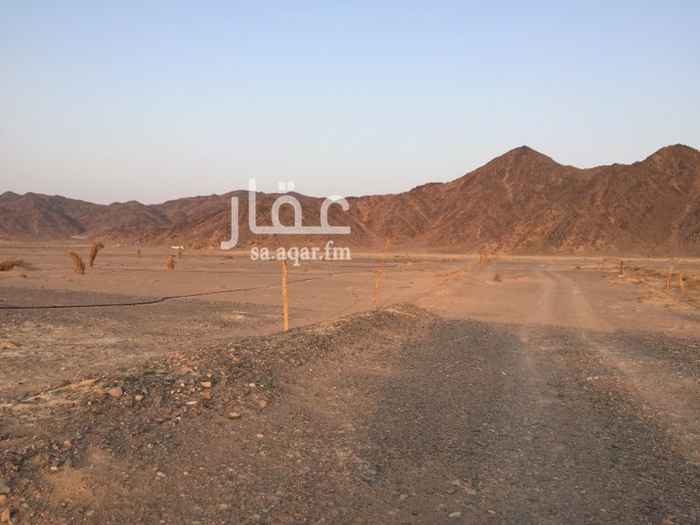 703416 ارض زراعية تجارية بصك
مخطط ل ملل
على طريق تبوك السريع الجديد النازل للمدينة
مساحة 30 الف م2 واجهتين