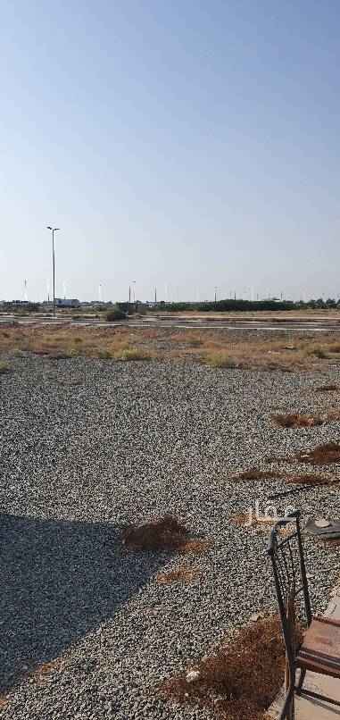 1716974 فرصه فرصه فرصه
بدأ البيع الآن افراغ فوري
لأصحاب الشركات والمؤسسات
و النقليات جميع الخدمات متوفرة بالموقع
المالك مباشره
