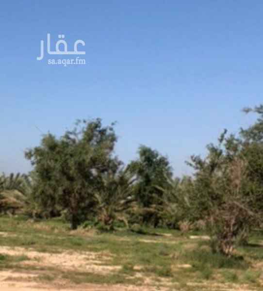 1541598 مزرعه خاصه مناسبه للاستثمار
المساحة اكثر من ١١٧ الف متر مربع
بصك زراعي
موقع مناسب جدا لعمل عدة امور :
- استراحه خاصه او عدة استراحات
- اسطبلات خيول
- تاجير جزء من المزرعه والاستثمار البعيد
- سكن خاص
ملاحظه / الموقع تقريبي
قريبه جدا من الدائري وطريق قباء
دقائق فقط الى مسجد قباء وللحرم النبوي
الرجاء التواصل واتس اب فقط بحال وجود مشتري فقط
و لاي استفسارات اخرى ارجوا التواصل بالموقع عبر الرسائل
