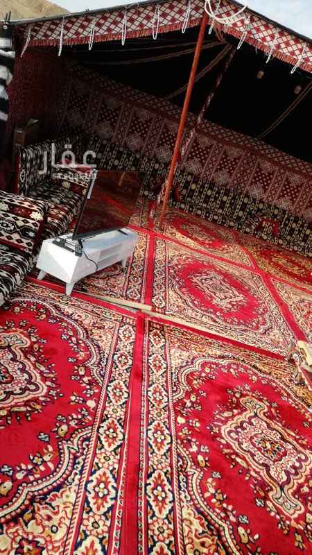 1499552 يوجد لدي مخيم جديد خاص للرجال فقط
يتكون من خيمه ٨/٦ متر وواجهتها باناره وباطرمه ومشب
بالدله والبراريد والفناجيل وحفرة مندي ودورت ميه
ومغسله
العموم مخيم متكامل للايجار اليومي
الا تصال جوال. ٠٥٥٤٩٩٤٣٢١