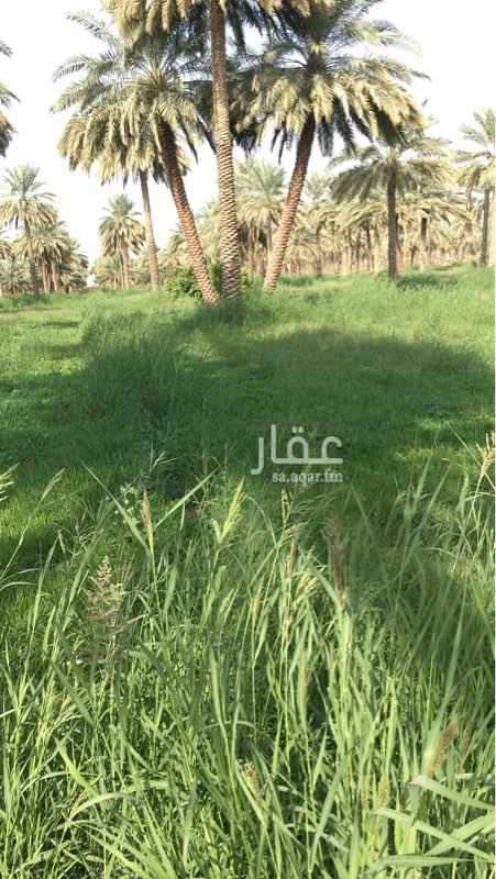 1467911 عماره بدروم مواجر
ودورين فيها 3 شقق
وملحق شقتين
الاجمالي 6 اقسام
الدخل للعماره حول ال35
للبيع
البيع عاااااااجل