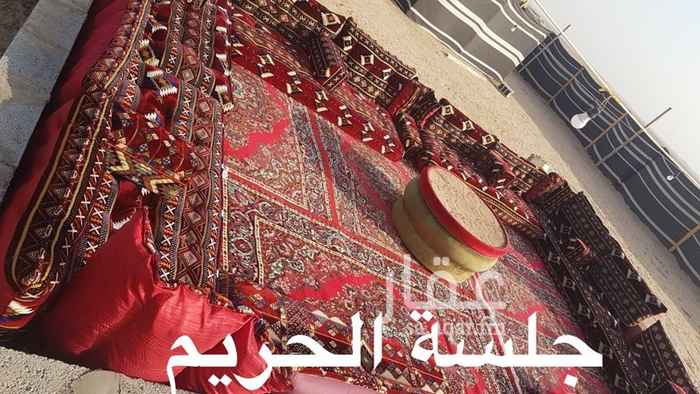 1373552 جلسات شباب او عوايل