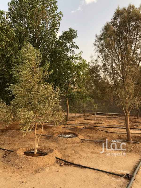 1572281 للبيع استراحه للصيد بطلحه الوسوس
تبعد عن بريده 100 كيلو
مساحتها 5750 متر
يوجد بها غرفتين مع دورتين مياه ومطبخ
ويوجد بها غرفه حارس للعامل
يوجد بها حوالي 300 شجره
حضاير حمام ودجاج
ويوجد بها نخل سكري وخلاص
وشبك جاهز للصيد عدد 5 شبكات
ويوجد بير بعمق 135 متر
بركه ماء
وغطاس 3 حصان
ملاحظه ( اوراق مبايعه ) بدون صك