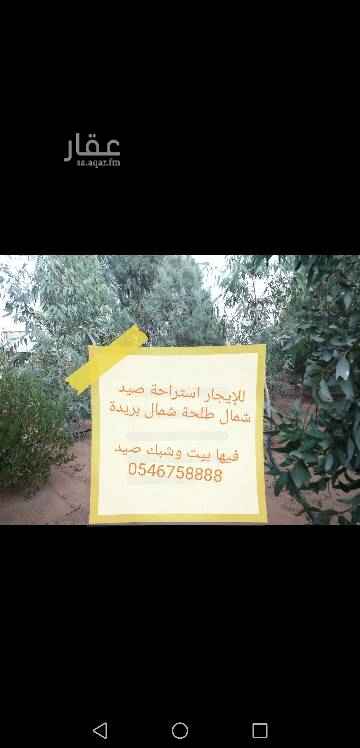 1681690 استراحه صيد شمال طلحة
5000 م
فيها بيت وشبك صيد