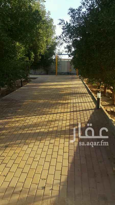 1336518 استراحة للبيع على طريق الرس البدائع بمخطط عقيلة على شارعين شرقي وشمالي بحي الخزامى بعقيله.
المساحة 1450 متر ومؤثثه بالكامل فرش واجهزة
تحتوي مجلسين واحد به مشب
مطبخ ودورة مياه ومغاسل داخلية وخارجية
العاب اطفال مراجيح عدد 2
ومسطح أخضر ثيل رشاشات ري وتنقيط.
نخل جراج باب مدخل سيارة ريموت كنترول
ودكات للجلوس وممرات انتر لوك بئر مطق وغطاس وغزير الماء بالبئر و صالح لري الشجر والحيوانات والغسيل.
ويحتوي المجالس فرش وأثاث كامل ومكيف شباك و سبليت حجم18 شاشات تلفاز2 وطبق أستقبال قنوات فضائية
