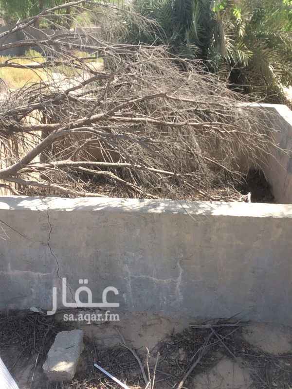 1173456 للبيع او الايجار مزرعه او بيت في بقيق والراجحه للاستفسار اتصل على المالك مباشره ابو فواز المقاطي للجادين فقط
0558198805
