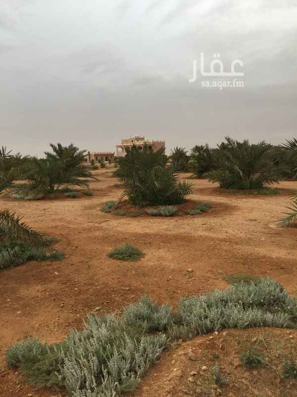 813876 مزرعة للبيع ( بصك )في ملهم تبعد عن الرياض 60كم يوجد بها فلة وملحق وعدد 300 نخل وحمضيات وعدد 2 ابار وحضائر للأغنام ومسوره من ثلاث جهات وخزان تجميع مياة 5*10