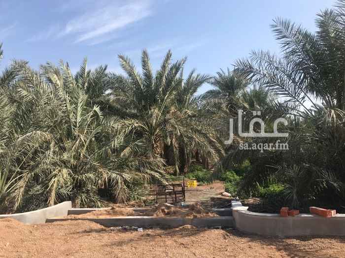 1340790 مزرعه منتجه بها عدد اكثر من ١٠٠٠ نخله احرار منها ٤٥٠ عجوه. و١٥٠ صفاوي وعنبر والباقي مشكل عدة انواع وبها مجلس رجال مستقل واستراحه خاص بمسبح محاطه بسور مسلح على كامل المرزعه بلك الميمني وبوابه خاصه.