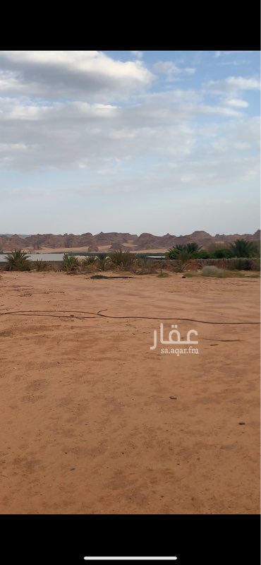 1667943 ارض للبيع او للأيجار بموقع مميز بالمعتدل بالعلا يوجد فيها بأر ارتوازي
