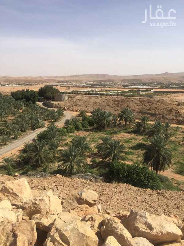 1434552 مزرعه في ديراب (الاوسط) المساحه 271551م بها 600نخله وحوالي 2000شجرة حمضيات الكهرباء واصله حراثه سكن عمال عليها صك شارع جنوبي 50م المياه متوفره بها جهاز ري محوري السوم 38للمتر للتواصل واتس 0555443800