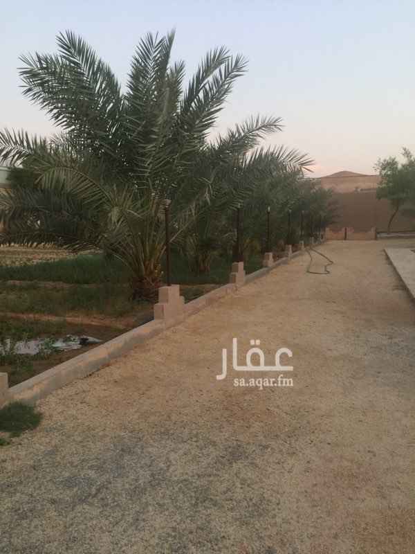 1716015 استراحه في ديراب على شكل مزرعه تتكون من مجلس ومقلط وغرفه بمنافعها بها بئر ارتوازي وكهرباء ونخيل وحمضيات وبرسيم وحوش ومستودع وبعض المزروعات تصلح لمحبي الزراعه والاستراحه على شارعين جنوبي 15 م وغربي 15م تقع في مخطط الرياض شرق مركز الخيل للتواصل واتس 0555443800