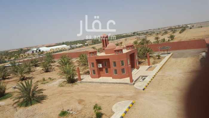 1286409 ٦٥ كم عن الرياض - طريق القصيم
على شارع ٥٠ مزفلت وعلى وادي
٤ آبار كيسي ٣ منها مواسير ٢.٢٥ أرامكو ثقيلة وغطاسات ١٥ حصان - ملوحة اقل من ١٠٠٠
٤ خزانات كبار
٦٠٠ نخلة(٩٠٪ خلاص) جميعها منتجة هذي السنه
٥٠٠ شجرة حمضيات سدر وزيتون ومورينقا وترنج
٥ بيوت محمية فيبرجلاس
٧٠٠ راس غنم حريات و١٠٠ صغار و ٢٠ فحل (سعرها غير مشمول)
بيت مساحته 600م مجلس مساحه 200م مسجد مساحته 100م مأثثين مع التكيف
ملاحق مساحتها ٣٠٠م مطبخ ومجالس مؤثثة
ملعب كورة ٦٠٠م صناعي مع شبك وإضأة
٣ عمال
مسبح نوافير
حظائر طيور واسطبل خيل