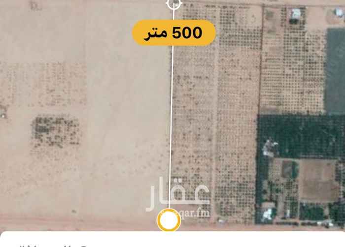 1664876 مزرعتين في محافظة العلا((مدائن صالح -الحجر ))متلاصقه احداها بصك والاخرى قرار واوراقها في الزراعه تمهيدا لصدور الصك بها 1000 نخله منوعه((عجوه صفاوي عنبره مجدول برني)) بها بئرين ارتوازيه و400 شجره فواكه ((300 راس غنم حري))