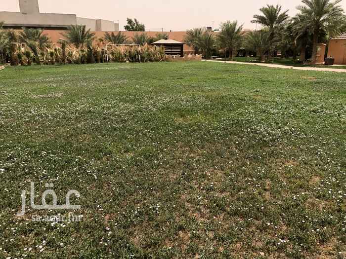1286134 منتجع فاخر وخاص
فلتين مؤثثة بالكامل
مجالس
مسابح شتوية وصيفية
مسطحات خضراء
نوافير
نخيل من اجود انواع النخيل +٢٠٠
اشجار حمضيات مثمرة
يوجد اكثر من بئر أرتوازي
مسجد
مدخل سيارات