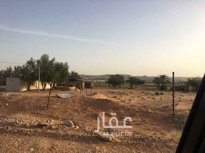 1544648 مزرعه للايجار مع غرف للعمال مع ابار ودفاعات مياه مع هنقر وحوش غنم