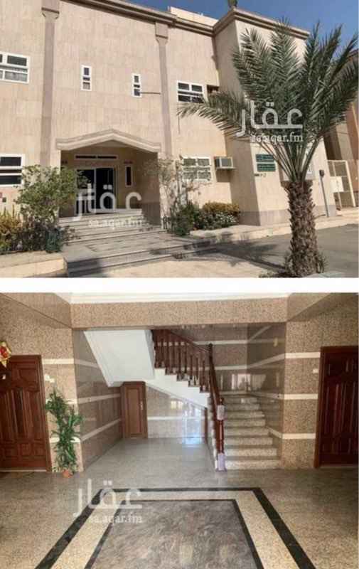 1612020 توجد شقة للايجار دور ارضي بحي الربوة 3 خلف سامبا تتكون من غرفتين وحمامين وصالة واوفيس الايجار على دفعتين كل ستة اشهر دفعة .. ويضاف لقيمة الايجار 1000 ريال تأمين
الرجاء التواصل عبر الوتس اب