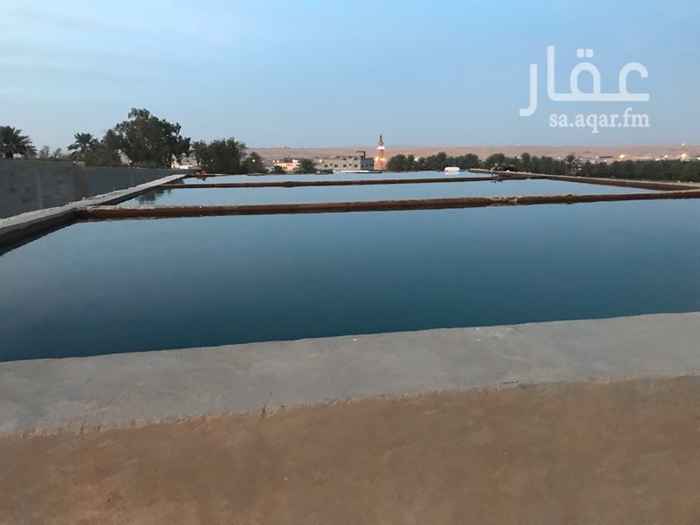 1345264 المزرعه للايجار والصامل يشوفها ومارح نختلف ان شاء الله