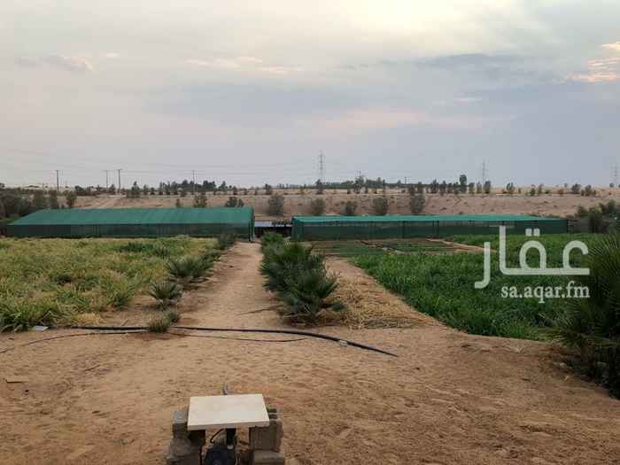 1178498 للبيع مزرعه مع شاليه مساحته 10000م بصك شرعي مستقل على 3 شوارع يوجدفيها شاليه قسمين تأجر يومي وفيها مسطحات خضراء ومسبح وغرفة نوم ومجلس وصاله ومطبخ ودورتين مياه وملحق خارجي وقسم الرجال مجلس ومطبخ ودورة مياه
وفيها فلتر تحليه يفلتر الماء من البير سعة 50 طن
وفيها عدد قليل من النخيل 25 تقريباً واحواض اعلاف ويوجد مشتلين ويوحد فيها حضاير اغنام ودجاج وحمام
يوجد فيها غرفه للعمال
*الموقع بين الهديه والجراد