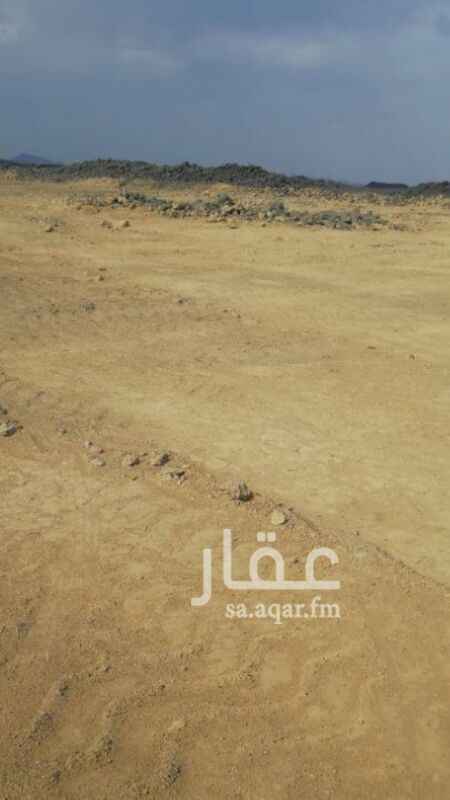 1292192 مشبكه وعلي 3شوارع كلها( 15) في العارضيه في (د)