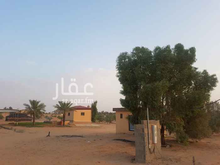1130547 القصيم بريدة شرق الجراد تبعد عن الدائري الشرقي مسافة 12 كيلو المزرعة على شارعين شارع شمالي عرض 100 و شارع شرقي عرض 20 المساحة 18700 متر فيها كهرباء و بئر ماء وسكن عامل وغرف اخرى ومجلس 8*5 وخيمة شعر ودكة بمسطح اخضر ( ثيل ) ودورات مياه 2 ومطبخ وعدد 200 نخلة سكري .. السوم واصل 28 ريال للمتر
( المزرعة بصك شرعي ) البيع قريب