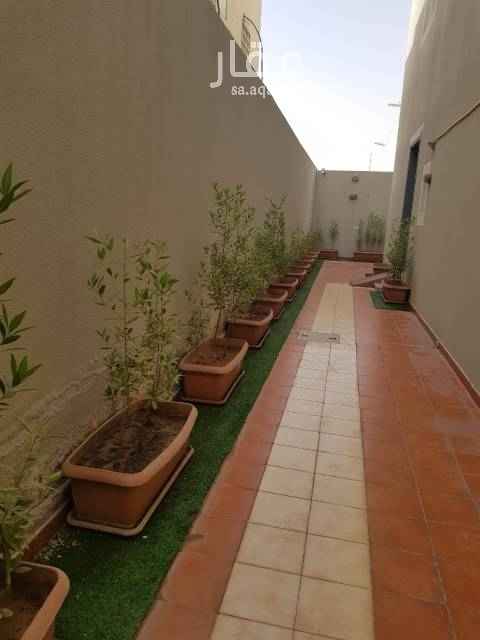 1476287 مكاتب راقيه نظيفه ومساحات مفتوحه و مختلفه