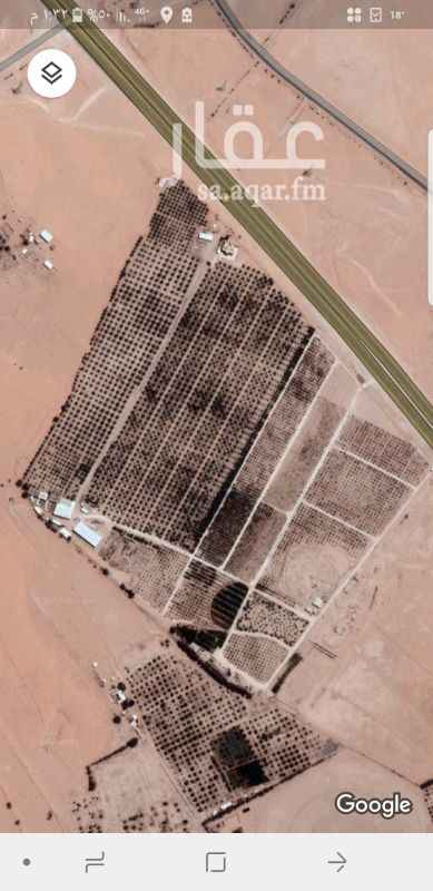 1290711 للبيع مزرعة في القصيم – عنيزة – طريق المطار الجديد
المساحة : 372.356
للبيع مزرعة في القصيم – عنيزة – طريق المطار الجديد
المساحة : 372.356
عدد النخيل : ٦٤٣٩
٦ غطاسات و٣ مستودعات
ومحميات
يوجد بها فيلا دورين كبيرة
مستودعات للتمور وغرف تبريد
المزرعة جميعها مشبكة .
للاستفسار اكثر نرجو الاتصال واتساب فقط ٠٥٥٥٨٢٤٧٥٥
ابو عبد الله .