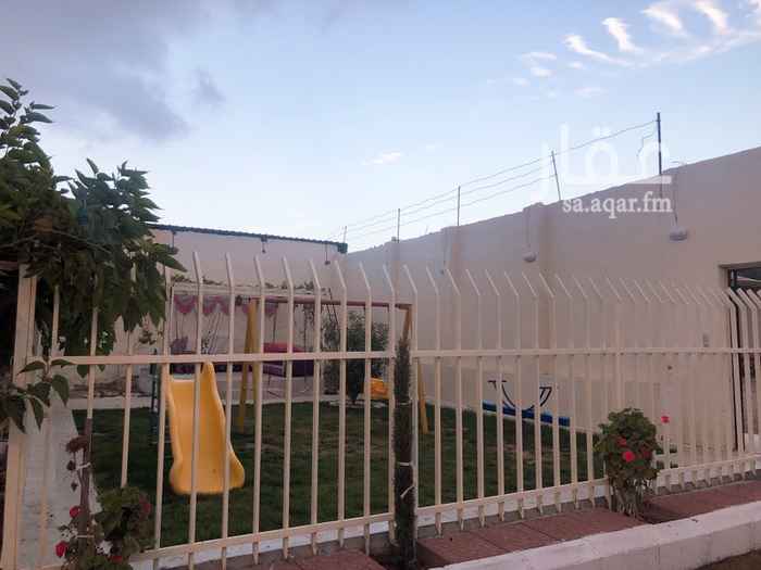 1586433 استراحه للايجار اليومي
غرفتين نوم صالون مسبح مجلس نساء دورتين مياه
حوش يوجد به بيت شعر مع دورة مياه خاصه بالرجال
جلسات ملاهي اطفال
رقم الحارس
050 036 2549