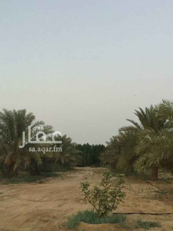 774647 للبيع مزرعه منتجة على طريق الخرج
وفيها قصر
السامي للعقارات
0556100687