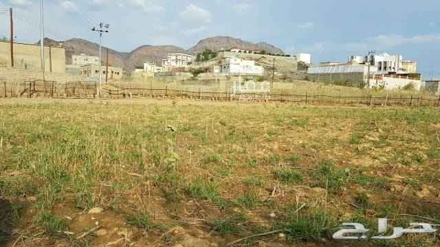 1671155 ارض للبيع بحي الاسامره بما يسمى في قوقل حي الزهراء بمحايل عسير على طريق جده العام تبعد عن الخدمات وطريق جده ١٠٠متر شمال محافظه محايل وسوق الغنم سابقا بالقرب منها شركه الكهربا والبيسي ومكتب وزاره الماليه والمهيدب ومحطه وقود ومحلات تجاريه
