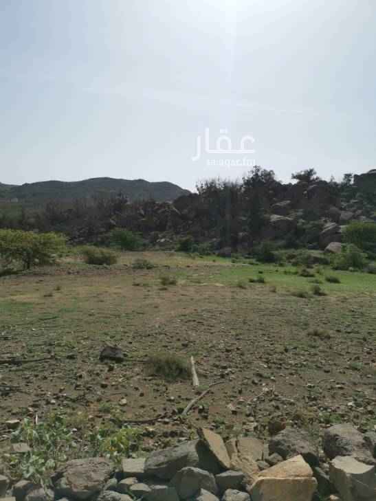 1582608 للبيع مزرعه بصك زراعي
مميزات المزرعه:
قريبه من ابها بحوالي ٦ كيلو متر
قريبه من المطار بحوالي ١٠ كيلو متر
طريق مسفلت للمزرعه
كهرباء متوفره ولكن لايوجد عداد
صرف صحي
للتواصل على الجوال ٠٥٥٦٤٦٤٠٦٦