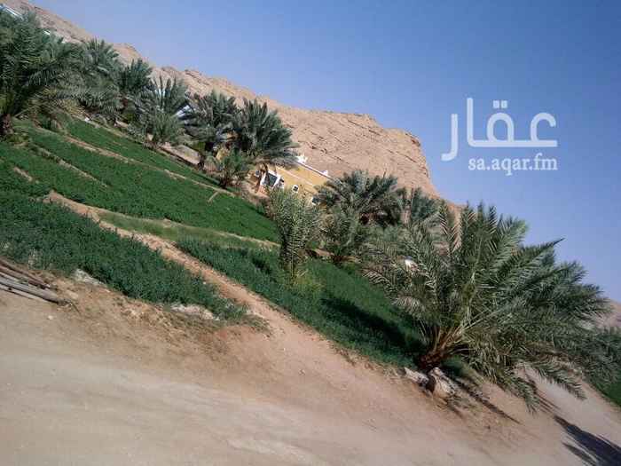 1440060 للبيع مزرعه مسورة في ديراب على شارعين بجانب مخطط المسرة
المساحه 20 الف
يوجد بها غطاس ماء ويوجد بركة ماء و مسبح صغير.
ويوجد بها فله بالغرفو دورات مياه.
ويوجد بها احواش للحيوانات.
و غرف للعمال
و يوجد بها عدد فوق 300 نخله مثمره ( حامله ) جميع الانواع مثل خلاص و هلالي و صقعي و رشوودي ونبته علي ونبته سيف
على السوم من رجال شايف ( 000 400 1 )
للاستفسار والمعاينة عن السعر الرجاء التواصل والاتصال على
جوال / 0558602200
وفي حاله عدم الرد الرجاء تواصل واتساب فقط على الرقم
( 0532525200 واتساب فقط )