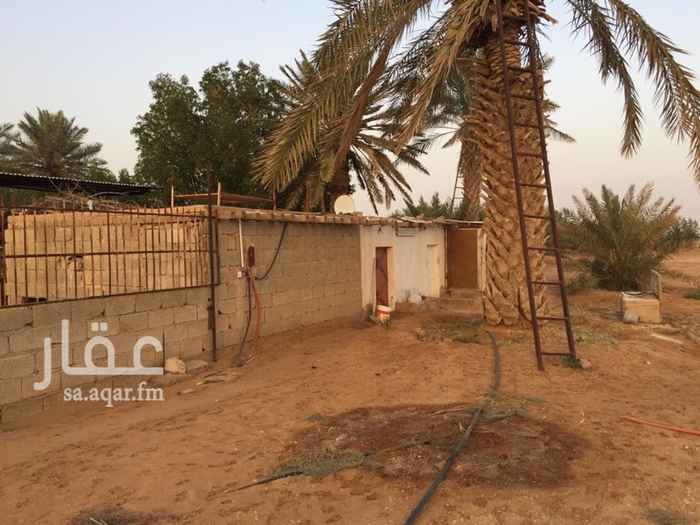 1389060 المزرعه للبيع
المساحه ٢٢٥٠٠
كهرباء هاتف غطاس خزان مبروم
عدد ١٢٠ نخله
غرف شعبيه جلسات عريش
قريبه من الخط السريع