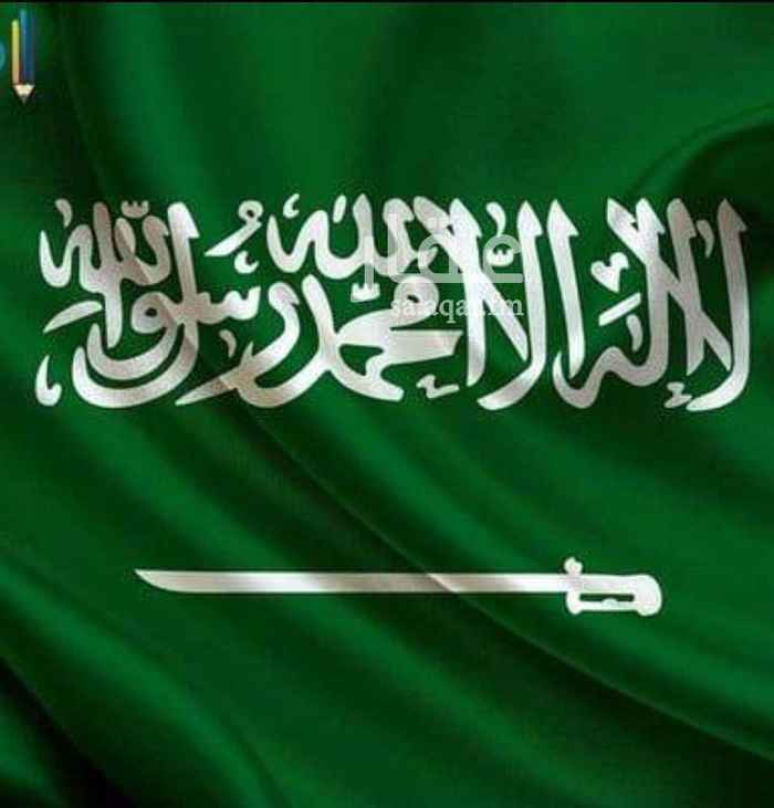 1727398 مطلوب عروض من المالك
شمال الرياض بالكامل
الملقا حطين رياض الخزامي
الياسمين الصحافه النرجس اي منطقه في شمال الرياض