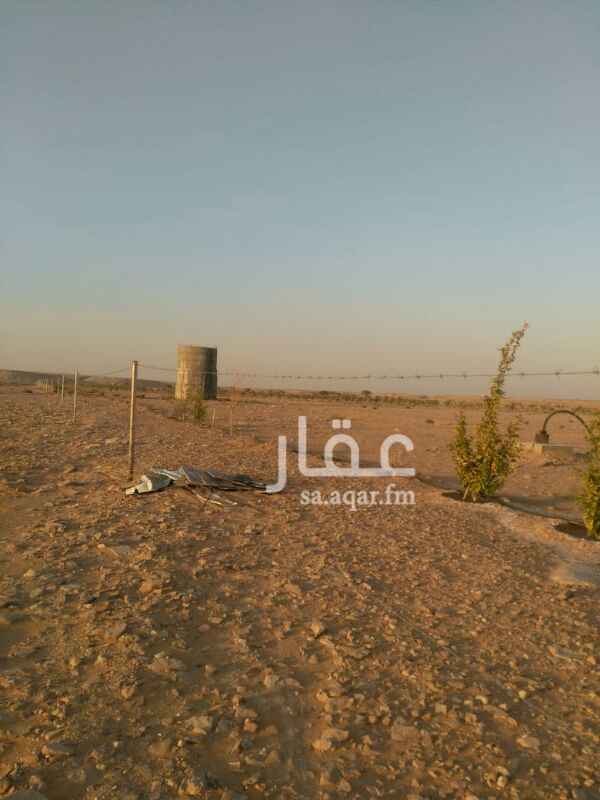 1123550 مزرعه في الخرج الصيعان بها نخل وبير مساحتها ٦٠الف متر علي السوم