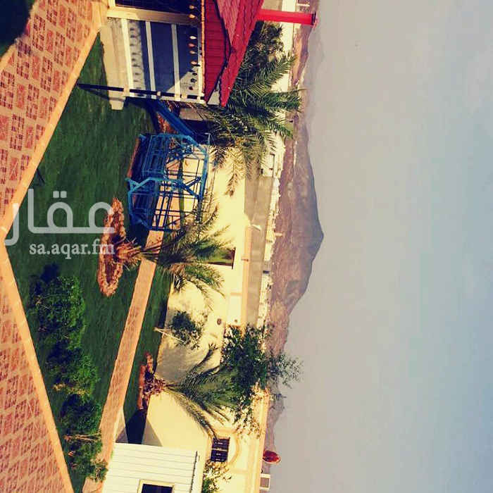 1436826 null