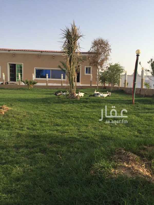 1201238 مزرعه للبيع في صلاصل