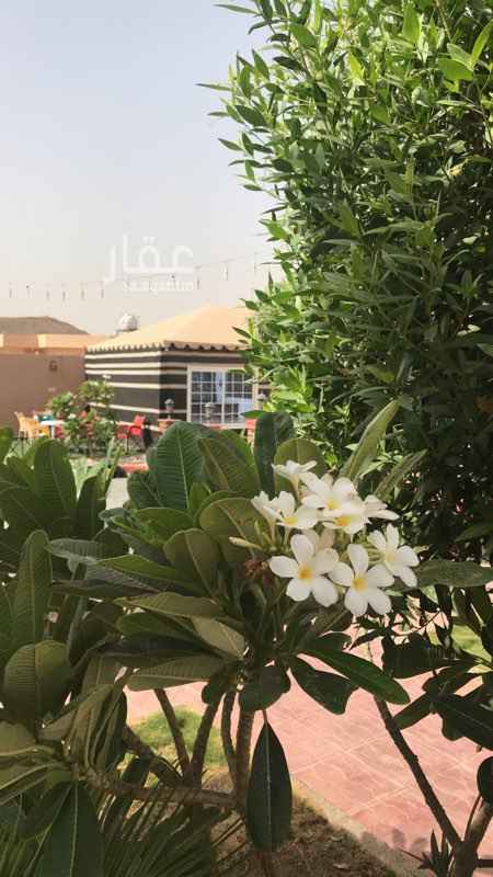 1052687 استراحة اليوسف بحره الحرازات المحاميد