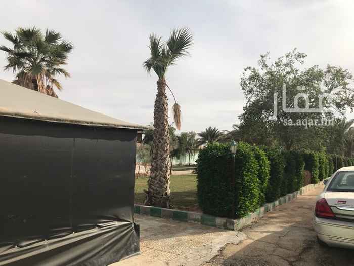 1339423 مزرعة في جو
قسمين رجال ونساء
خيمة للرجال وخيمة للنساء
مجلس كبير للرجال
فله في قسم النساء يوجد بها دورتين مياة وصاله وغرفتين جلوس ومطبخ
مسطحين خضرا واحده للرجال وواحده للنساء
مسبح
ملعب
حوش للغنم
مواقف سيارات
للتواصل
0507877963