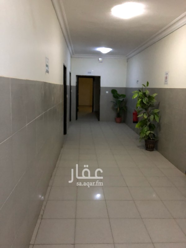 1696298 فقط فقط فقط للايجار شركات شركات
عماره حي الوداي موقع ممتاز
قريبه من الدائري الشمالي مدخلها بين مخرج ٦ - ٧
بعد وكاله لكزس شارع ٣٠ شارع وادي السرح قريبه من جميع الخدمات
مدخلين للعماره
عدد الشقق
٢٠ شقه
مكونه من ٤ غرف ودوره مياه ٢
مطبيخ راكب - مكيفات راكبه ( اسبيلت - وشباك )
ويوجد في السطح صاله كبيره
الشركه السابقه عامله السطح ميز لعماله ( مطعم ) للمواظفين
مجهز مكيفات ودوره مباه وغسيل —