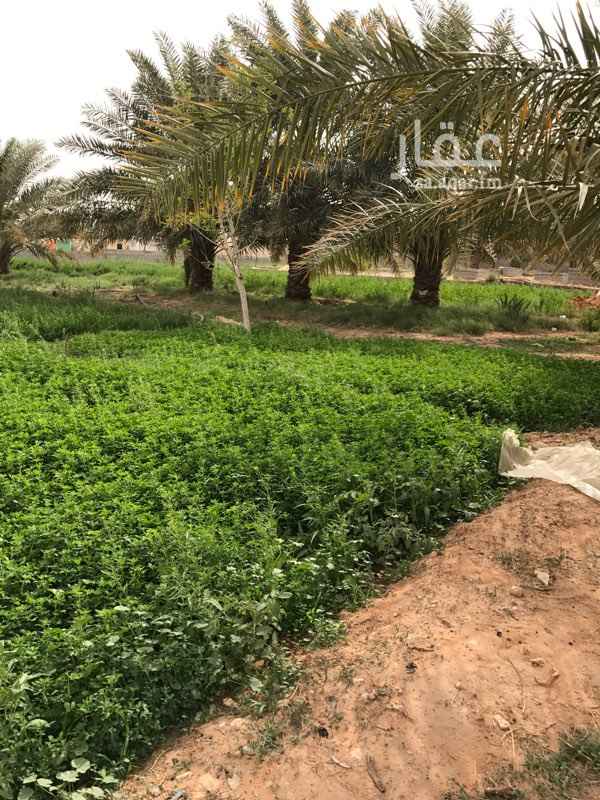700235 مزرعه في الحنيه مخرج 8 على طريق الخرج تبعد عن مصنع الراجحي للحديد قرابة 10 كم
المساحة 93500 الف متر بصك
موجرة بعقد 10 سنوات على عدد من المستثمرين