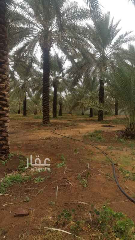 1316983 مزرعه للبيع (حي حويلان) على طريق شارع حويلان الرئيسي يبعد عن جامع حويلان 500 متر ... تتكون من 3 دوراة مياه + 5 غرف + مطبخ + بيت شعر + مستودع + شلال + مسبح + 3 حضائر + اشجار متنوعه من الفواكه + نخيل