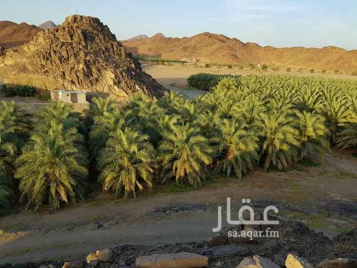 722468 ٧٠٠ عجوة
١٠٠ صفاوي
١٣٠ روثانا
٤٠ نخل مشكل
٣٠ نخل ذكور
بركة ماء ٢٠ × ١٢
بركة ماء ١٠× 6
حضاير اغنام
بيتين للعمال
بيت حجر يتكون من قسمين
قسم العائلة و قسم الرجال
المزرعة قديمة ولها معاملة استخراج صك بالمحكمة منطقة ملل تبعد عن المدينة المنورة 20 كيلو غربا
للتواصل ومعلومات اكثر 0558039432