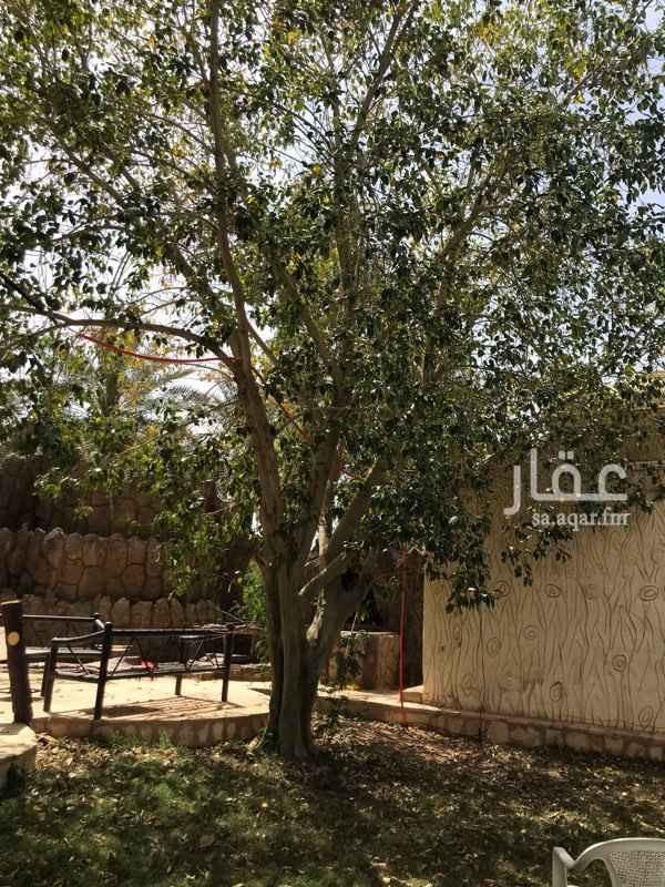 1468685 خلاص 25 صقعي 15 سلج 10 هلالي 1 سكري 10 سيف 4 روثاني 7 وحده عجوه والباقي متنوع
مسبح
مبنى غرف مسلح
مشبات وخيمة ومطبخ وحمام وشلال