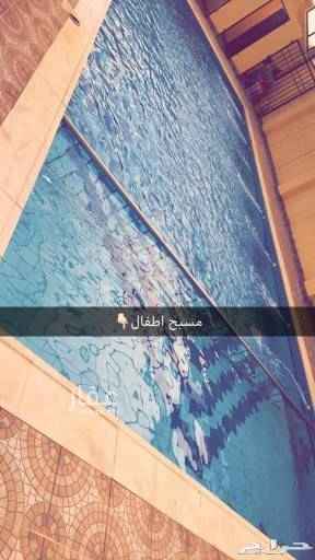 1555426 عرؤض ولفتره العروض لا تشمل ايام العيد
أستراحه الخليج للإيجار اليؤمي
٣٠٠قسم ٦٠٠ قسمين
٠٥٣٣٣٥٠٧٦٦