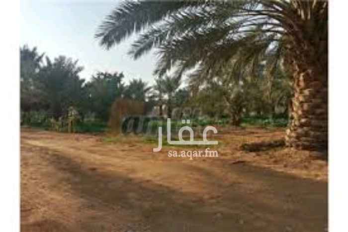 1503187 مزرعة نخيل للبيع
مساحتها 94 الف متر بصك - 74 الف متر بدون صك
الاجمالي 167,928 متر مربع
محاطة بشبك من جميع الجهات
سكن عمال غرفتين
مستودع فيه يحتوي على ٦ فريزرات تخزين تمور
مكينتين ٨ سلندر
طرمبتين ، ٨ ، ٦ بوصة
كامل المزرعة تمديدات ليات
90% سكري وخلاص
10% نبوت وفحول وبرحي
حراثة فنت
عدة رش مبيدات
عاملين هنود
البيع متاح
للقسمين بسعر 25 ريال خاضع للتفاوض.
للجزء اللي فيه صك فقط 35 ريال.
للجزء اللي مافيه صك فقط 25 ريال.
للتواصل المباشر مع المالك
ابوسعد
0505408804