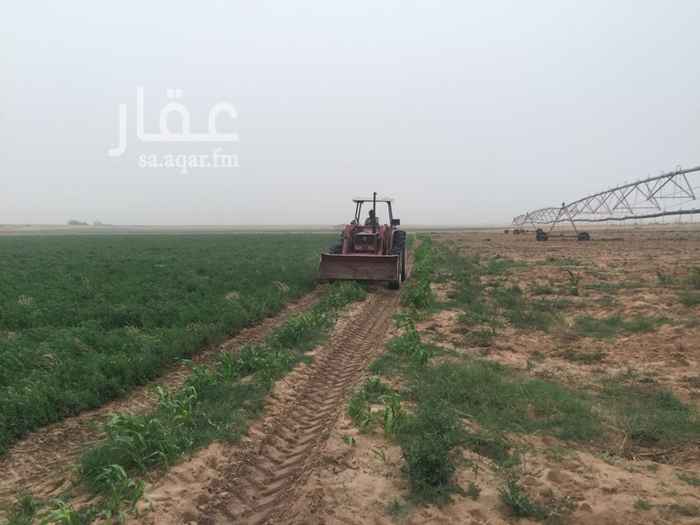 1296421 🌴🌴المزرعه للبيع 🌴🌴
مزرعه قريبه من الرياض
المساحه 2 مليون متر مربع
الموقع جنوب ساجر غرب مغيب السر شرق الدوادمي
قريبه من الدوادمي 30 كم وعن ساجر 30 كم
موقع مميزه وومتاز جدا
يوجد بها :
1- مكينه ميتسوبيشي
2- مكينه فلفو
3- حراثه
4- مقطوره
5- حصاده
6- نثاره
7- عدد 3مشط
8- ماطور هواء
9- سكن عمال مكون من خمس غرف غرف بنيان ممتاز وحوش
10 - استراحه مجلس ودورات مياه غرفه متحركه
11- عدد 4 ابار ماء 8 بوصه شغاله
12- عدد 2 رشاش محوري 6 ابراج
13- عدد 2 تانكي ديزل كبير
14- محول كهرب لكا